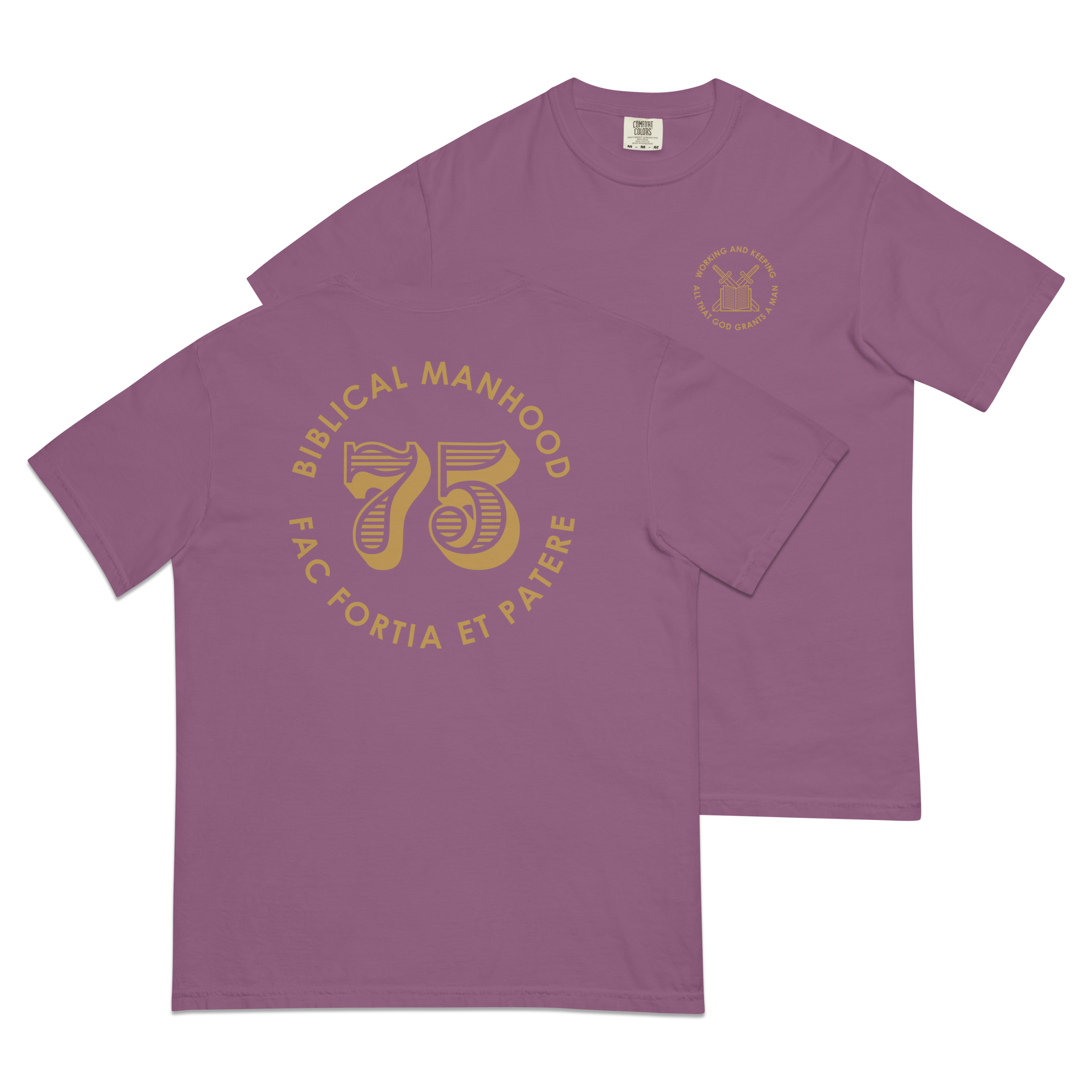 Biblical Manhood 75 T-Shirt (Comfort Colors)