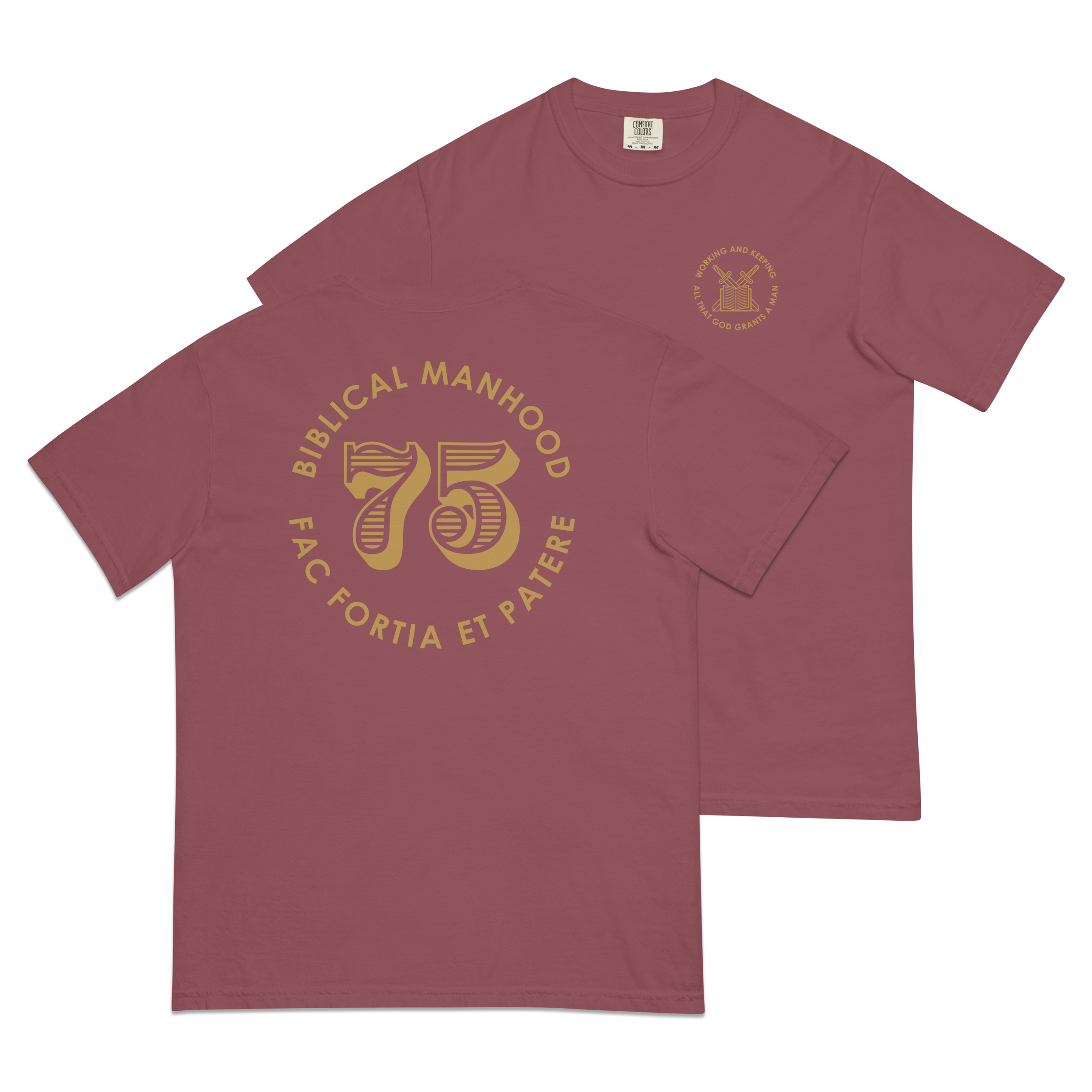 Biblical Manhood 75 T-Shirt (Comfort Colors)