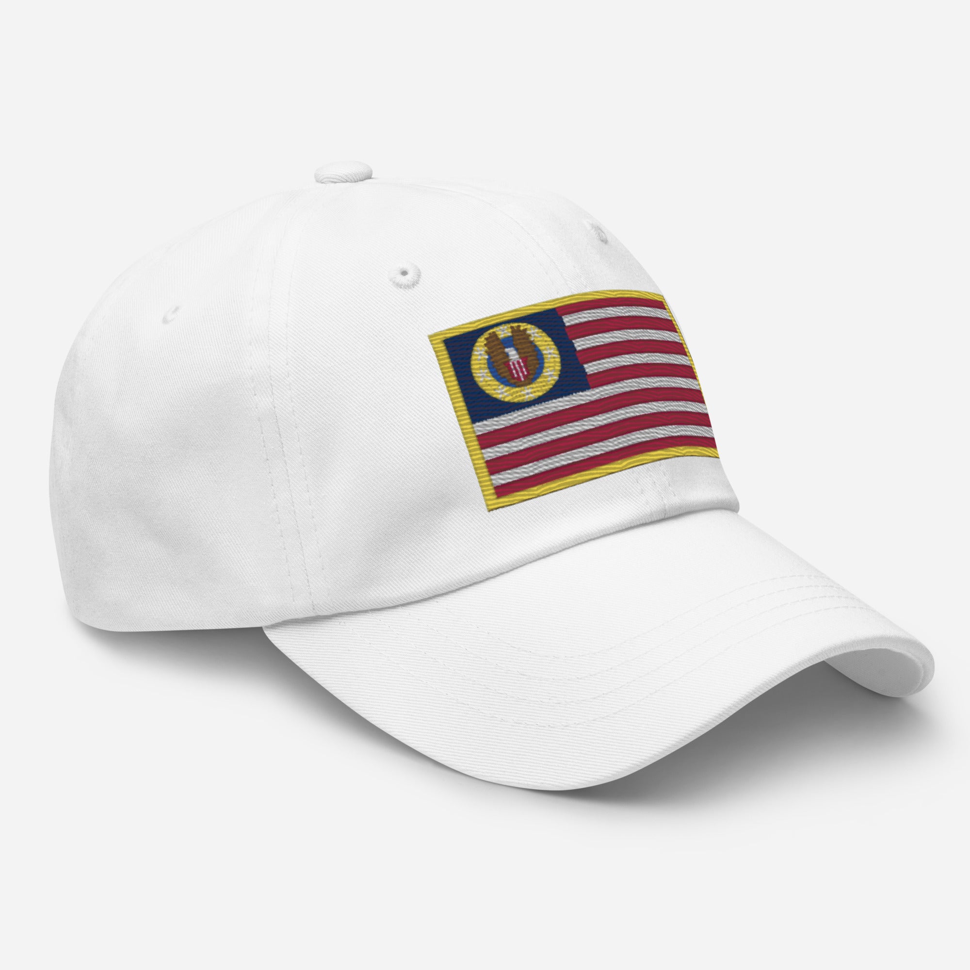 Know Nothing Baseball Hat (Flag Only)
