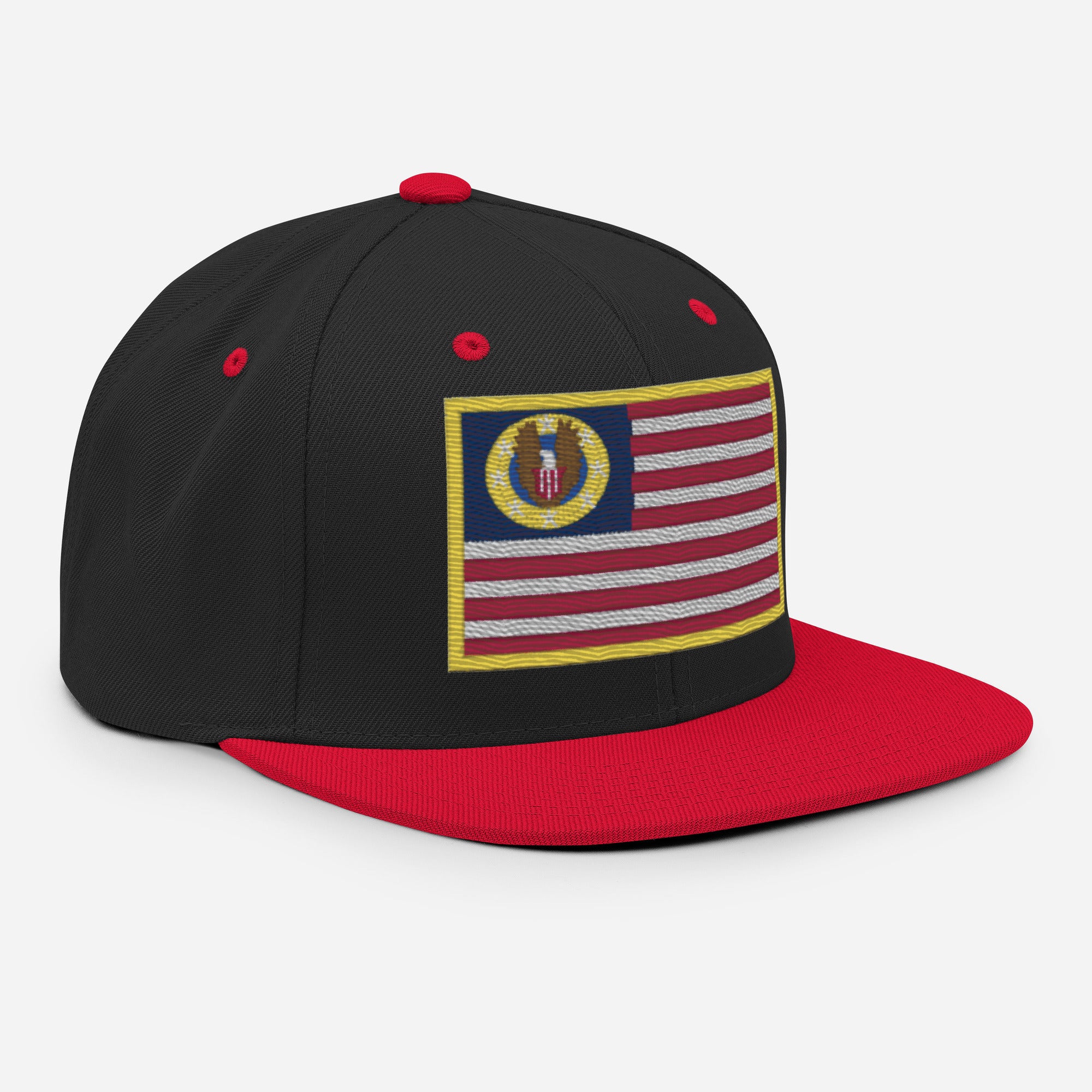 Know Nothing Snapback Hat (Flag Only)
