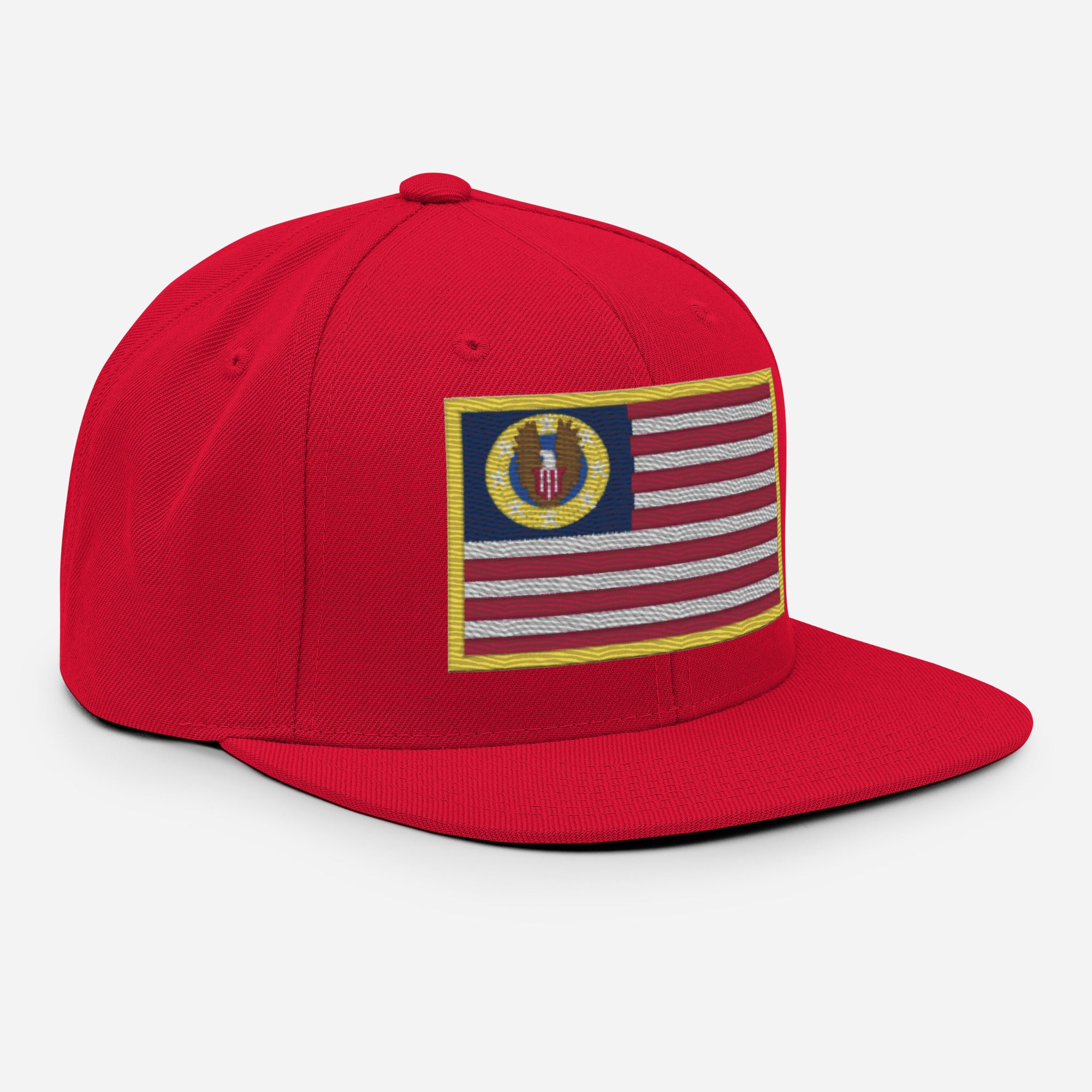 Know Nothing Snapback Hat (Flag Only)