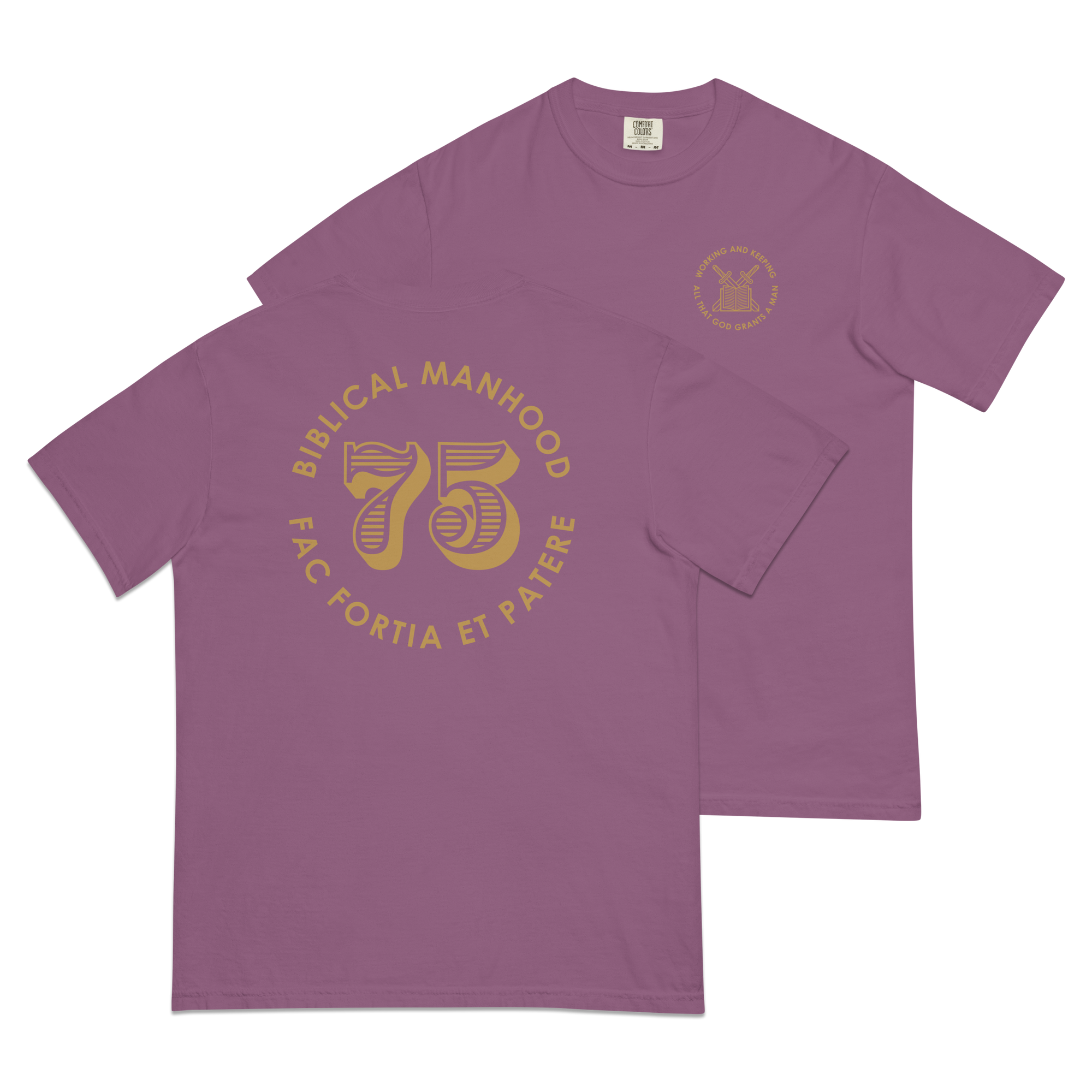 Biblical Manhood 75 T-Shirt (Comfort Colors)