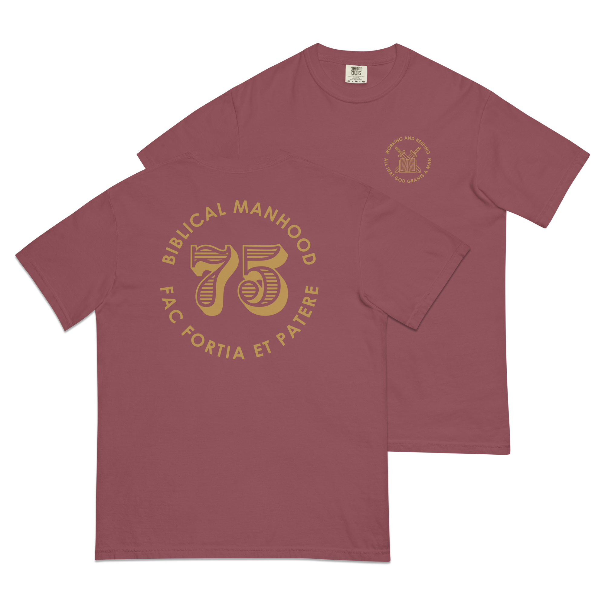 Biblical Manhood 75 T-Shirt (Comfort Colors)