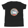 Agnus Dei Youth T-Shirt - 1689 Designs