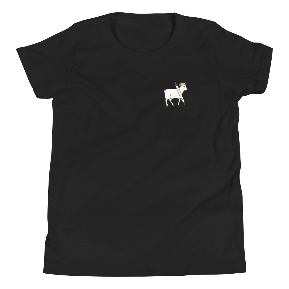 Prophet, Priest, & King Youth T-Shirt - 1689 Designs